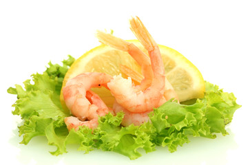 Boiled shrimps, lettuce leaf and lemon, isolated on white