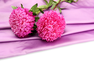 beautiful aster flowers, on silk background