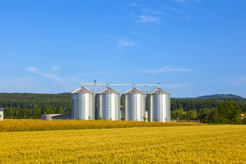 four silver silos in corn field © travelview