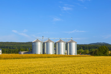 four silver silos in corn field