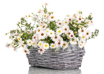 beautiful bouquet of white flowers in basket isolated on white