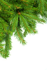 Christmas background. Eve framework