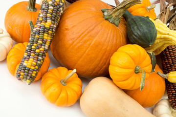 White sign in autumn decoration
