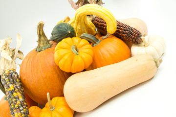 Pumpkins, corn and gourds