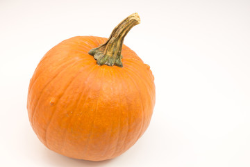 Pumpkins on white