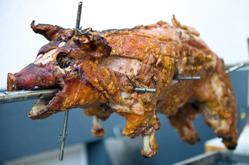 suckling pig - Spanferkel