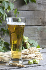Glass of beer with hop on wooden boards