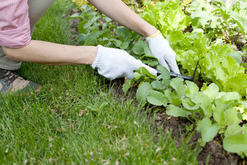 Naklejka premium Young woman with hoe working in the garden bed