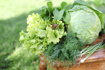 vegetables in garden