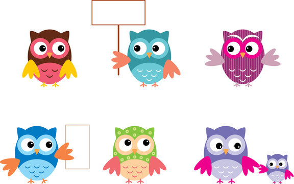 The Drawn Owls, Different Types