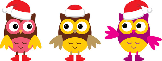 Fototapeta premium Owl in Christmas hats