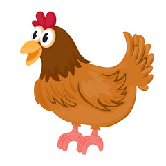 a cock