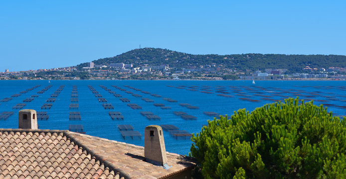 S&egrave;te Parcs &agrave; Huitres