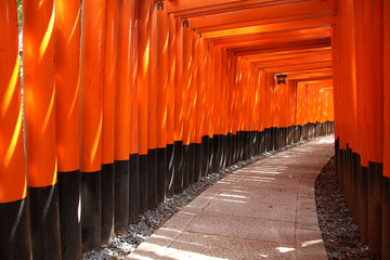Fototapeta premium Fushimi Inari, Japonia