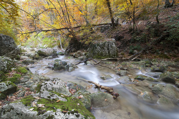 Autumn landscape with the river