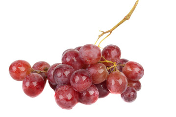 Fototapeta premium Red grape