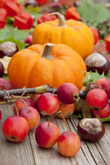 Obraz premium Herbstdeko