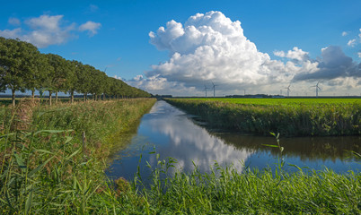 Reflection of clouds in a canal