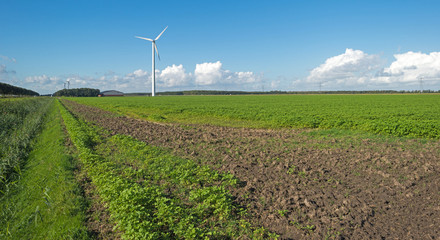 Fototapeta na wymiar Wind turbine in a field in autumn