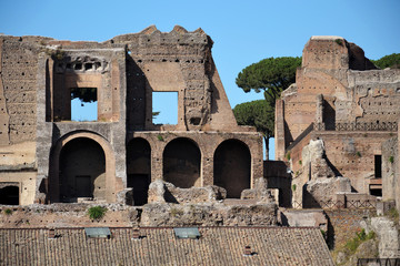 Naklejka premium Ruins of the Domus Augustana on Palatine Hill.