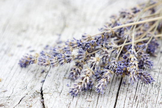 Bunch Of Dried Lavender