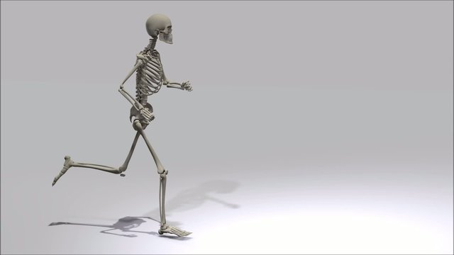 Laufendes Skelett