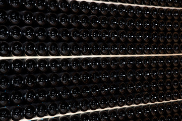Wine cellar (Italy, Franciacorta)