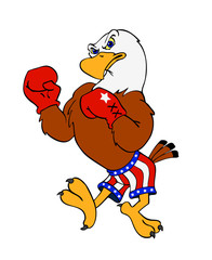 American Bald Eagle Fighting