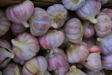 Ail, Aulx, Garlic