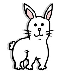 White rabbit