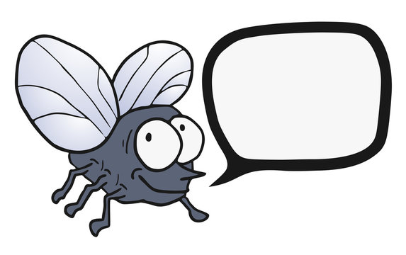 Commentary insect
