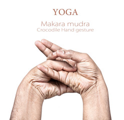 Makara mudra