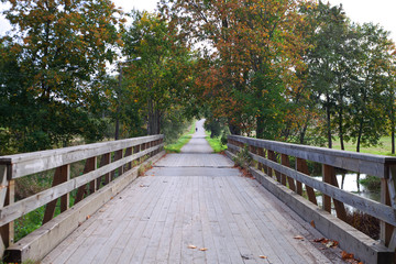 Wooden bridge.