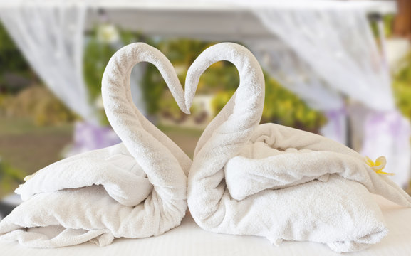 Lune de miel, tentures et coeur de cygnes blancs