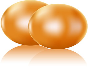 Two painted eggs isolated on white, vector easter symbol