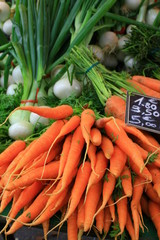 Légumes de saison, carottes fanes