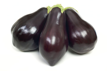 The aubergines family