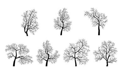 Fototapeta premium Silhouette tree