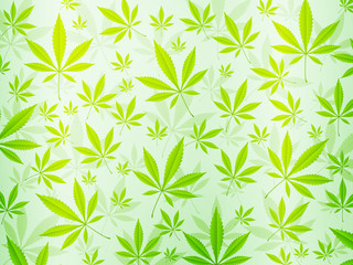 abstract marijuana background