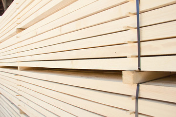 Fresh wooden studs
