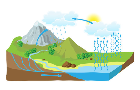 Water Cycle Diagram Images – Browse 1,469 Stock Photos, Vectors, and Video  | Adobe Stock