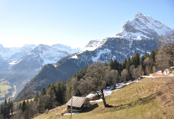 Fototapeta na wymiar Braunwald, Switzerland