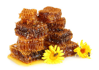 sweet honeycomb with honey, bee on flowers, isolated on white