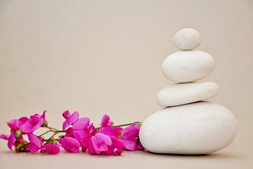 pietre bianche e orchidea selvatica © biancia