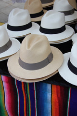Panama hats