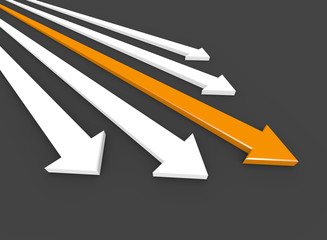 3D Arrow Competition