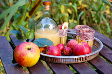 Sommer Herbst Apfel Ernte - Bio Apfelsaft - Garten Obst