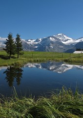 Wildstrubel And Mirroring In A Little Lake