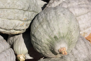 Herbst - Kürbis- Obst