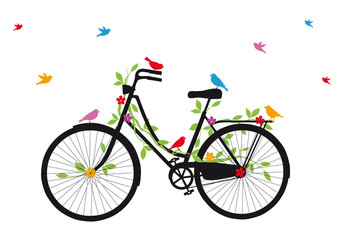 old bicycle with birds, vector